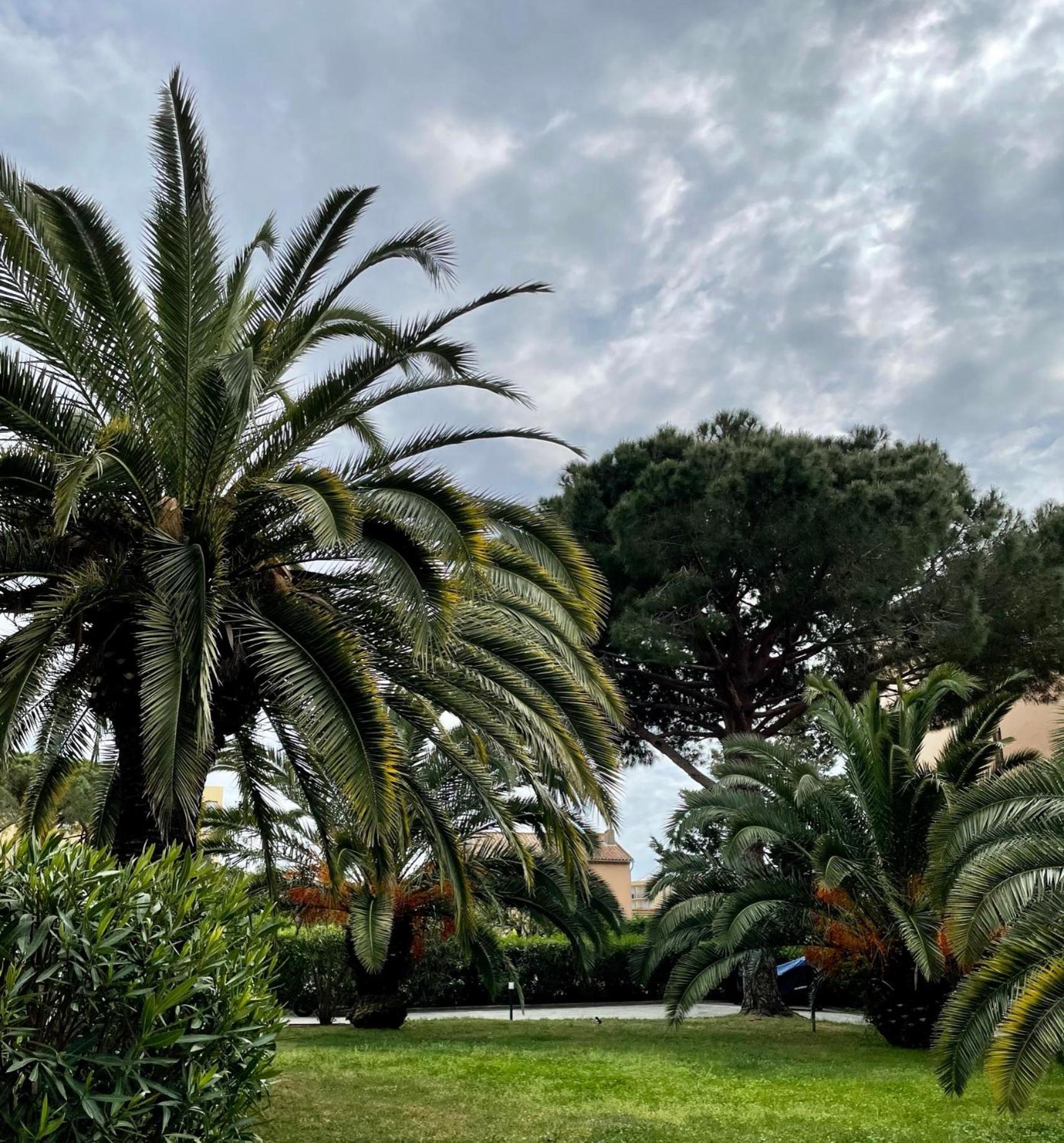 Appartement Saint Tropez ภายนอก รูปภาพ